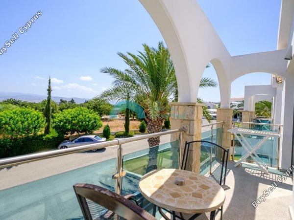 1 bedroom apartment for sale latsi paphos 8399027 image 16018575