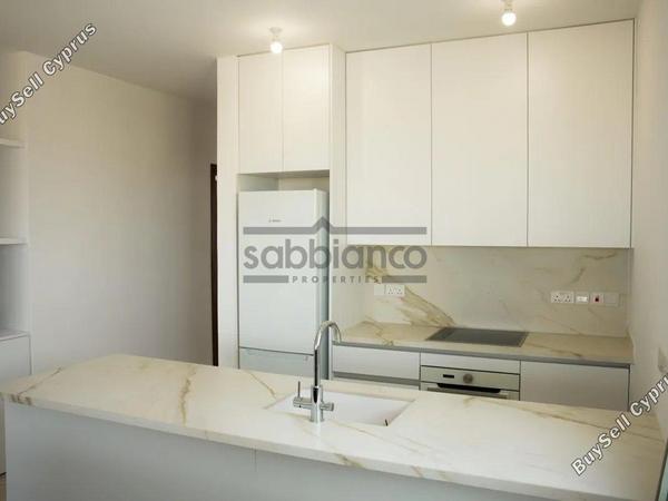 2 bedroom apartment for rent aradippou larnaca 8748027 image 16459928