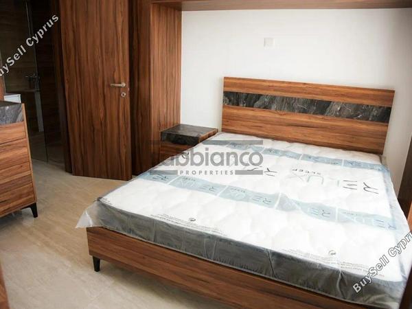 2 bedroom apartment for rent aradippou larnaca 8748027 image 16459930