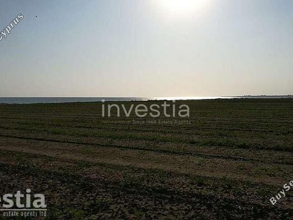 land for sale pervolia larnaca 8019027 image 16656440