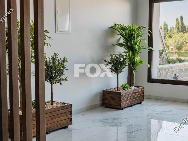2 bedroom apartment for sale kato paphos paphos 1638127 image 13551592