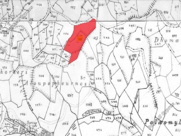 land for sale agios epifanios oreinis nicosia 1113127 image 15603602