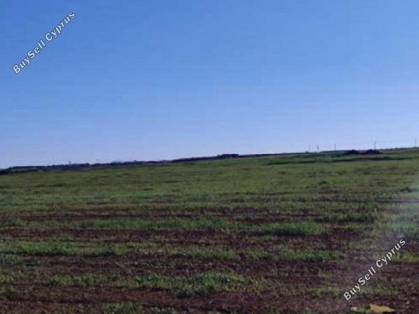 land for sale peristerona lefkosias nicosia 8716127 image 16294257