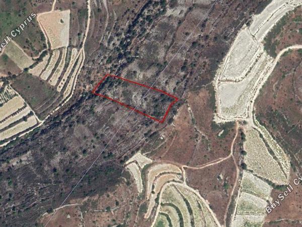 land for sale praitori paphos 828127 image 2809379