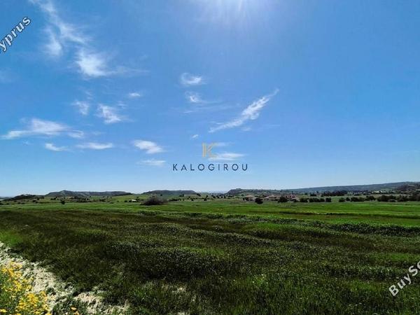 plot for sale alaminos larnaca 1317127 image 5629210