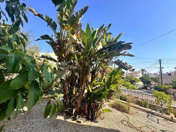 4 bedroom detached house for sale larnaca municipality larnaca 1840227 image 6573993