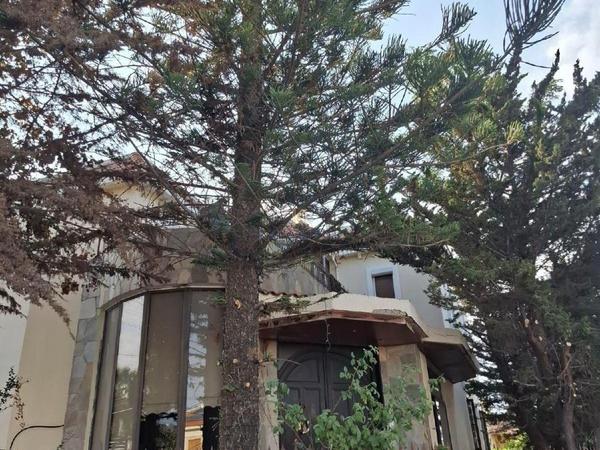 4 bedroom detached house for sale larnaca municipality larnaca 1840227 image 6574015