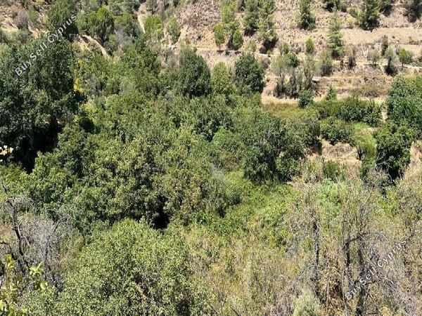land for sale galata nicosia 8716227 image 16295219