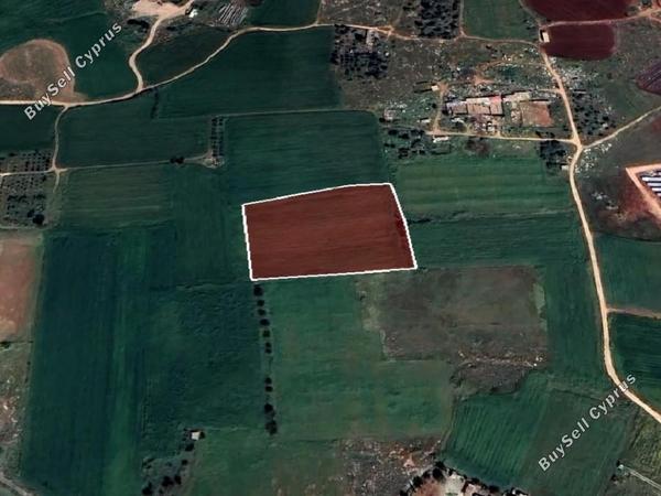 land for sale avgorou famagusta 8765327 image 16560282
