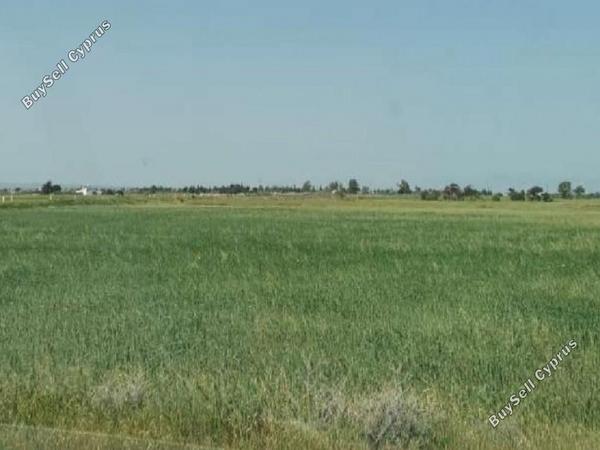 land for sale avgorou famagusta 8765327 image 16560283