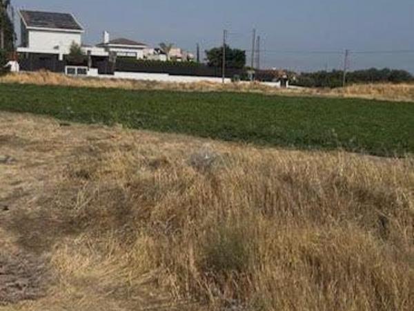 land for sale moni limassol 980327 image 9792865