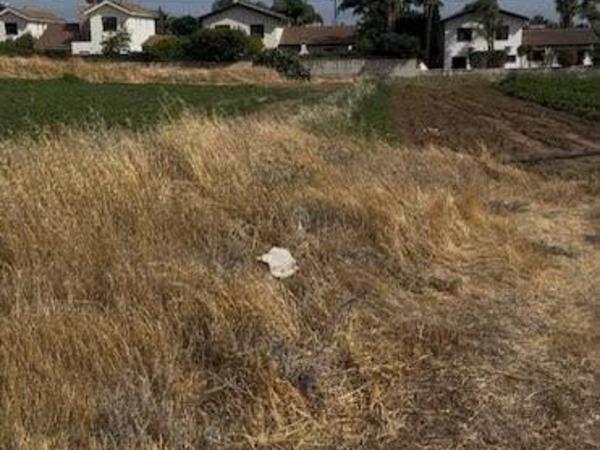 land for sale moni limassol 980327 image 9792866