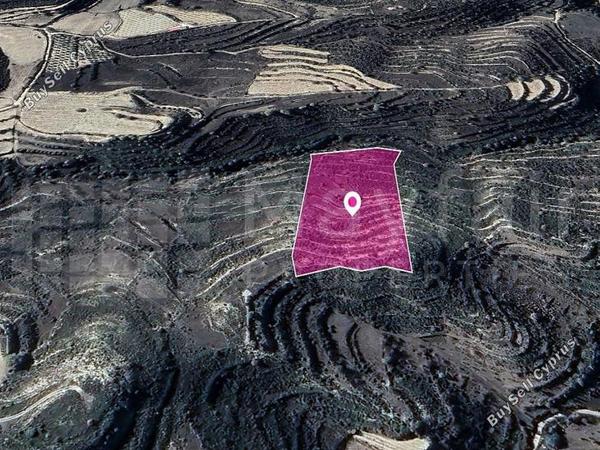 land for sale pachna limassol 7872327 image 11384866