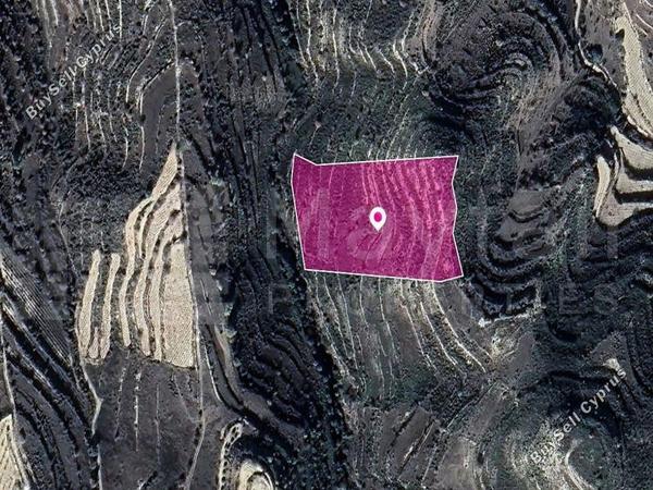 land for sale pachna limassol 7872327 image 11384867