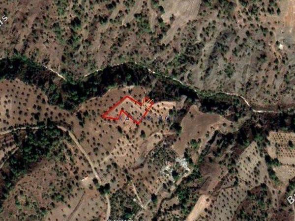 plot for sale lythrodontas nicosia 1195327 image 5577370