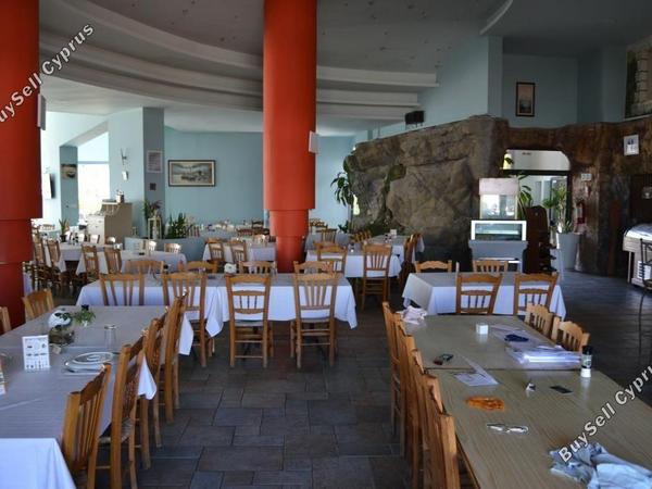 studio restaurant for sale mackenzie larnaca 8582327 image 15678577