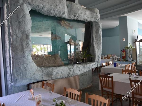studio restaurant for sale mackenzie larnaca 8582327 image 15678578