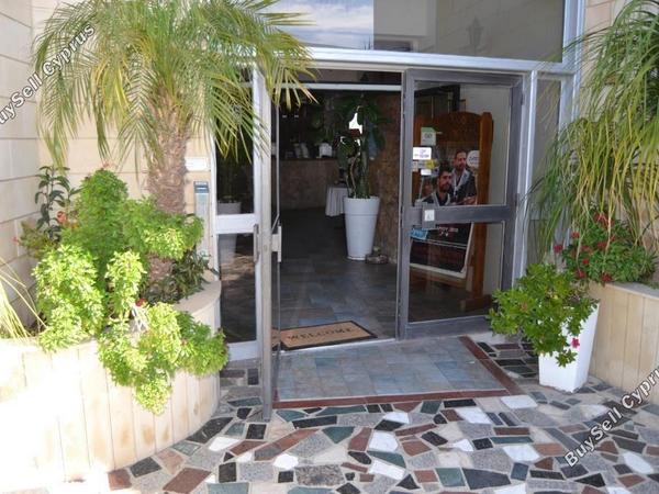 studio restaurant for sale mackenzie larnaca 8582327 image 15678579