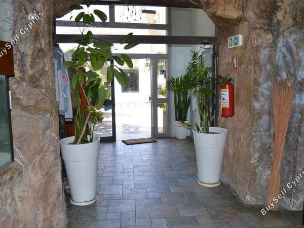 studio restaurant for sale mackenzie larnaca 8582327 image 15678581
