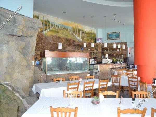 studio restaurant for sale mackenzie larnaca 8582327 image 15678582