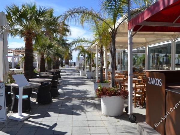 studio restaurant for sale mackenzie larnaca 8582327 image 15678589