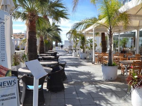 studio restaurant for sale mackenzie larnaca 8582327 image 15678590
