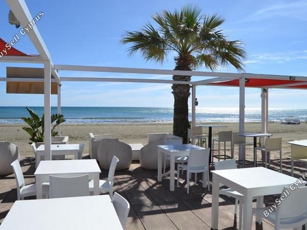 studio restaurant for sale mackenzie larnaca 8582327 image 15678592