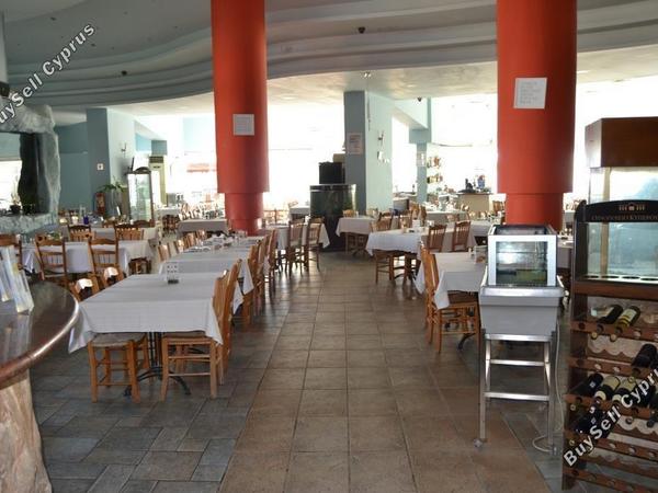 studio restaurant for sale mackenzie larnaca 8582327 image 15678595