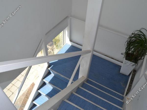 studio restaurant for sale mackenzie larnaca 8582327 image 15678611