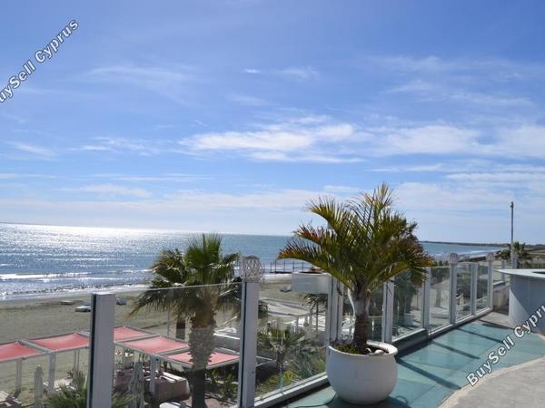 studio restaurant for sale mackenzie larnaca 8582327 image 15678618