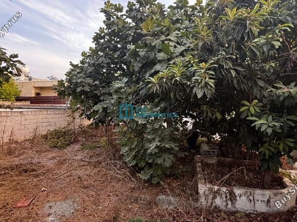 3 bedroom detached house for sale chrysopolitissa larnaca 7838427 image 10773743