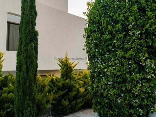 4 bedroom detached house for sale sea caves peyia paphos 8442427 image 15555913