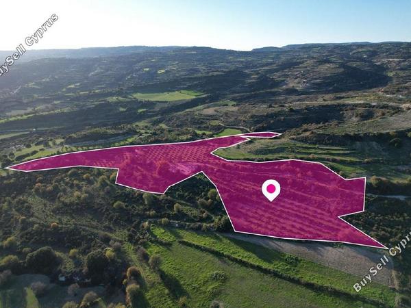 land for sale choulou paphos 1897427 image 14205570