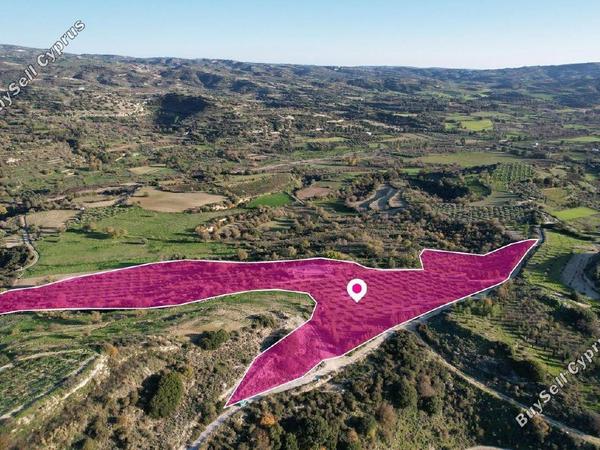land for sale choulou paphos 1897427 image 14205571
