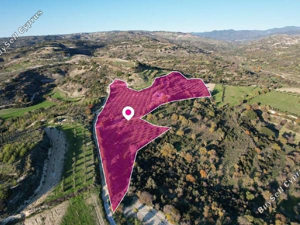land for sale choulou paphos 1897427 image 14205572