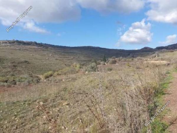 land for sale ineia paphos 1721427 image 15597407