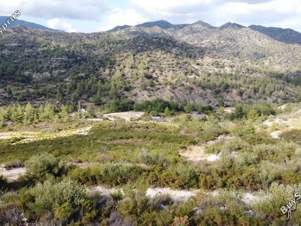 plot for sale agios mamas limassol 8897427 image 17345344