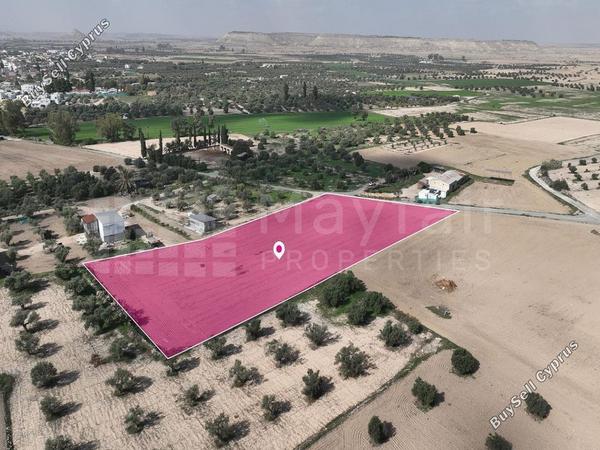 plot for sale athienou larnaca 7872427 image 14464632