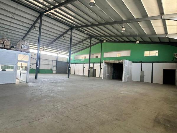studio commercial building for sale aradippou larnaca 1889427 image 16129602