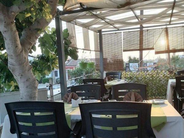 studio mixed use project for sale tala paphos 8237427 image 14228869