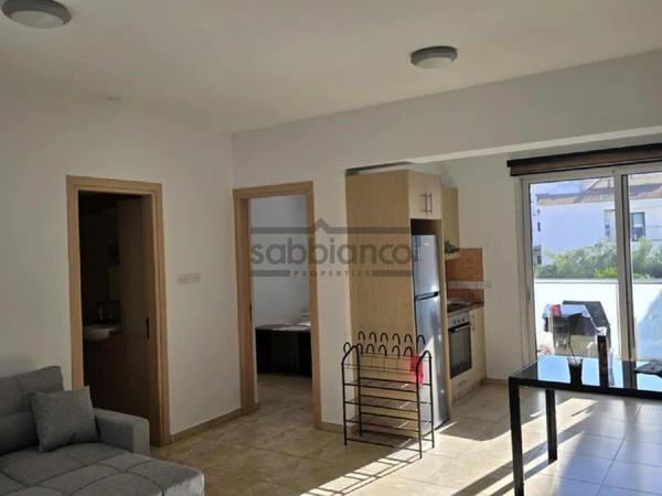 1 bedroom apartment for rent platy aglantzias nicosia 8748527 image 16465757