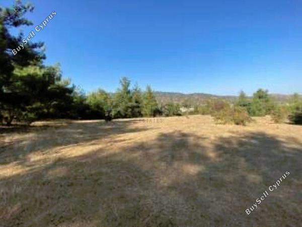 land for sale evrychou nicosia 1493527 image 5872917