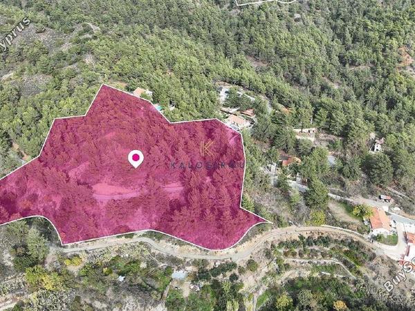 plot for sale pera pedi limassol 1650527 image 6487769
