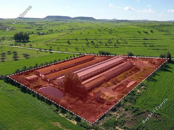 studio factory for sale petrofani larnaca 1041527 image 4121064