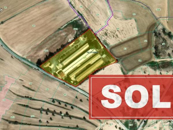 studio factory sold petrofani larnaca 1041527 image 16149229