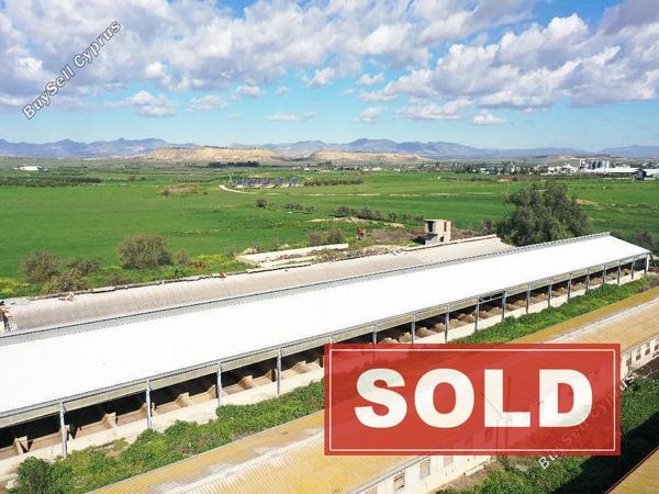 studio factory sold petrofani larnaca 1041527 image 4121063