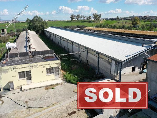 studio factory sold petrofani larnaca 1041527 image 4121065