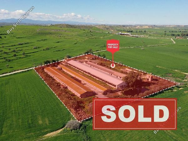 studio factory sold petrofani larnaca 1041527 image 4121067