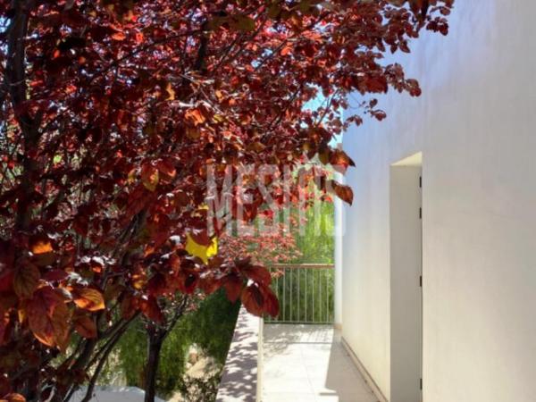 3 bedroom detached house for sale agrokipia nicosia 1205627 image 10493021