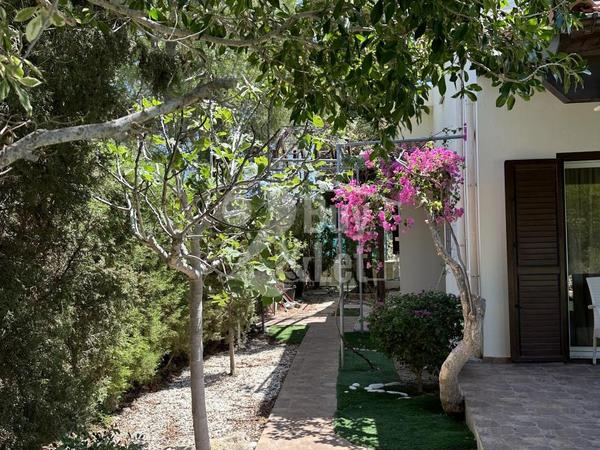 3 bedroom detached house for sale pissouri limassol 1494627 image 12578867